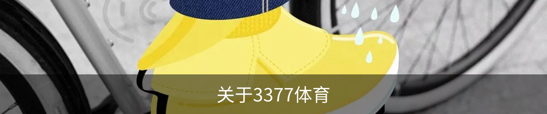 关于3377体育