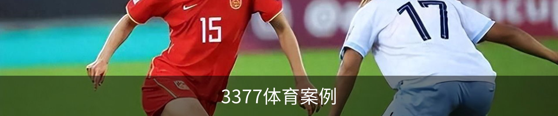 3377体育案例